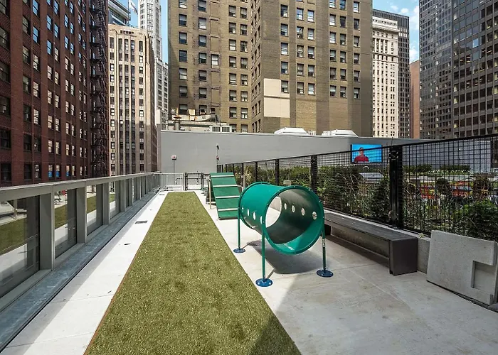 Loop 1br W Gym Pool Wd Nr Millennium Park Chi-227 Chicago