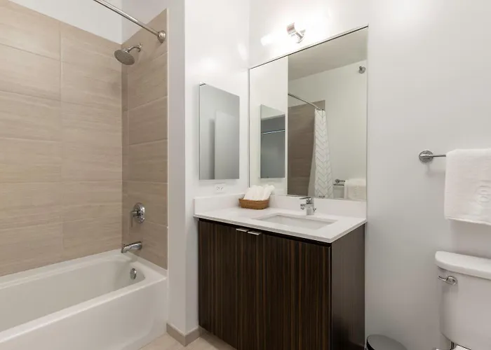 Loop 1br W Gym Pool Wd Nr Millennium Park Chi-227