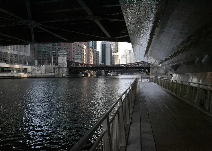 Loop 1br W Gym Pool Wd Nr Millennium Park Chi-227 Apartment Chicago